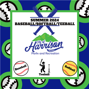 Summer Baseball/Softball/Teeball