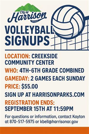 Volleyball